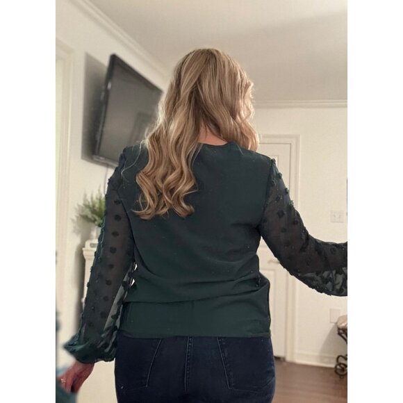 Shein Dark Green Sheer Swiss Dot Long Sleeve Blouse With V-Neckline - Picture 2 of 4